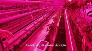Green Technology  in Schools - Kazakhstan - 2