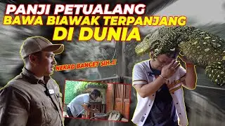 BISA NURUT GINI..!! PANJI JINAKIN BIAWAK TERPANJANG DI DUNIA INI PAKE ILMU??