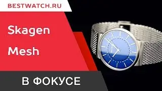 Часы Skagen Mesh SKW6234 - обзор от Bestwatch.ru
