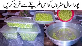 How to Store Fresh Green Peas for Months | Matar Ko Store Karne Ka Tarika