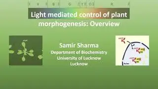 Light mediated control of plant morphogenesis: Overview (Samir Sharma)
