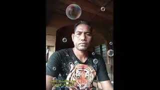 Judul lagu .. pu'u weki kau ( ciptaan sius sigo)