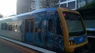Train with indigenous artwork