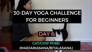 Day 6: Cat/Cow Pose (Marjariasana/Bitalasana) // 30-Day Yoga Challenge for Beginners