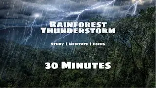 Deep Rainforest Ambience 🌿 Gentle Rain, Birds & Distant Thunder (30 Minutes)