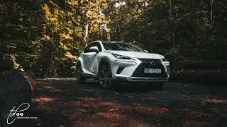 Lexus NX 300 test PL Pertyn Ględzi