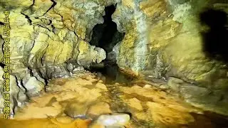 探秘黄泉洞，传说暗河尽头隐藏青铜门 #户外 #山洞 #户外行军蚁