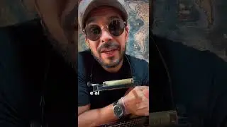 Que gaita &eacute; essa?