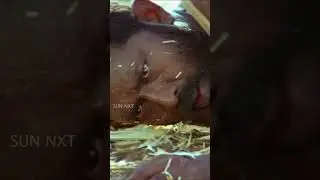 #Sandakozhi Climax Scene! 🔥 | #Shorts #Vishal | Sun NXT