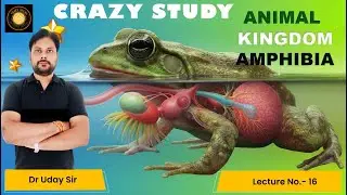 Class 11 | Biology |  Animal Kingdom: Vertebrates - Amphibia: Tadpole to Frog | #uday Sir |#trending