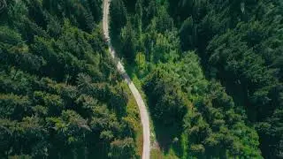 Free stock footage  aerial view || natural forests || 4k || drone footage