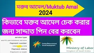 কিভাবে মক্তব আমেল চেক করার জন্য সাদ্দাত পিন নম্বর বের করবেন|Muktub Amal Sadad Pin number|iqama sadad