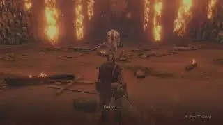 Sekiro: Getting hit with the belt, Shinobi style