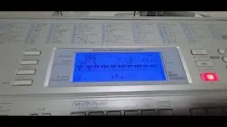 LK-207　つぼみ
