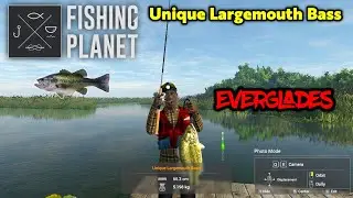 Unique Largemouth Bass Everglades - Fishing Planet