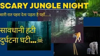 HOW DANGEROUS IS THE JUNGLE? SCARY JUNGLE NIGHT & WALK THROUGH WOODS| WILDLIFE & POSSIBLE DANGERS|