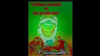 THERMAL CAMERA KILLER BEE HIVE SEARCH!