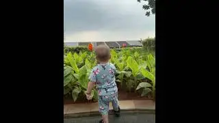 FUNNY BABIES💕#funnybaby#babyvideos#babyshorts#babyboy#baby#funny#funnyvideo#shorts#bayipintar