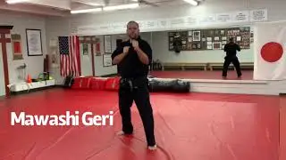 Karate Essentials SMA:  6 Mawashi Geri