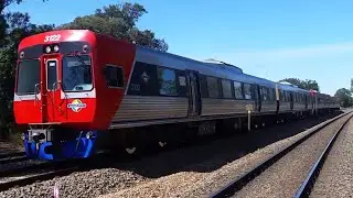 Adelaide Metro 4000 class transfer Q006 @ Dudley Park
