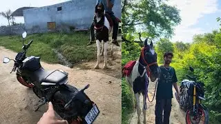 Horsepower Showdown: Bike vs Horse Ride! 🏍️🐎 (1 horsepower Vs 18 horsepower ) #youtube #biker #fun