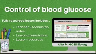 Control of blood glucose Lesson video preview