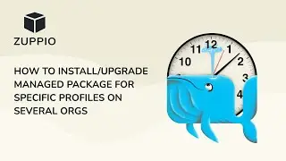 How to install/upgrade managed package for specific profiles on many orgs using Zuppio