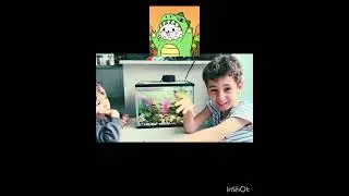 Facts about platy  fish 🐠with  Michael Noah and Mateus 