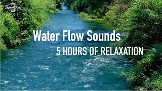 Water Flow Medium Sounds for 5 Hours of Relaxation