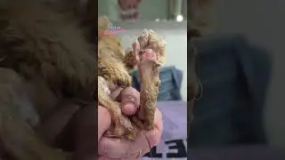 Скай принимает ванну!