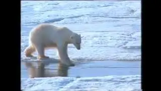 Swedish Polar Research Institute - Johan Ernst Production