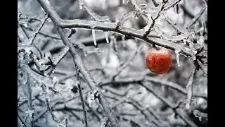 Just Another Apple Juice ICED edition
