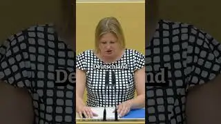 ROTE-AMPEL-Regierung #afd #bundestag