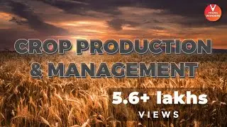 From seed to harvesting very attractive agricultural practices ppt || must watch