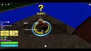 I played blox fruits