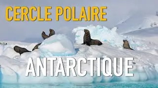 CERCLE POLAIRE, ANTARCTIQUE