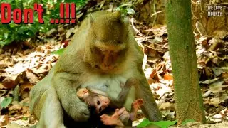 Don't...Don't Do That Brinn, Mom Brinn Weaning Milk For Baby Brittany Too Hard, Please Take It Easy