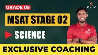 MSAT  Stage 2 | Exclusive Coaching | Class 5 Science : Score Full Marks!