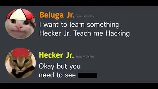 When Beluga Jr. learns hacking... | Beluga | Beluga Jr. | Hecker Jr. (4k)
