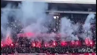 Ultras Stella Rossa di Belgrado in curva con striscioni e bandiere dello storico gruppo FEDAYN ROMA