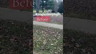 Leaf cleanup! Fall cleanups! #leafcleanup #fallcleanup #fallmaintenance #propertymanagement