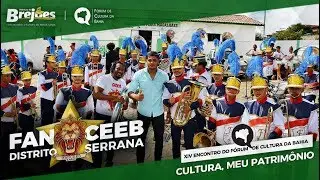 FanCEEB no Cortejo Cultura Viva | Brej&otilde;es