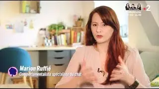 passage tv Marion Ruffi&eacute;_ comment savoir si mon chat est malade