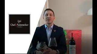 Chef&Sommelier - Reveal Up soft by Yanis Feral [FR]