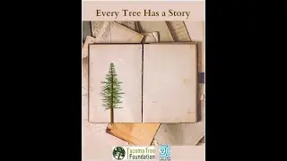 Every Tree Has a Story | August 23 | Sarah Low