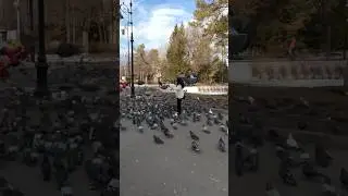 #ascension #cathedral #almaty #kazakhstan #park #pigeon #urban #centralasiatravel #tourism #travel