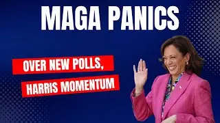 MAGA Panics Over Harris Momentum And New Polls
