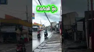 Katak Ijo Turun #basuri #telolet