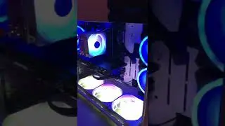 In win tower Snow White with RGB fans