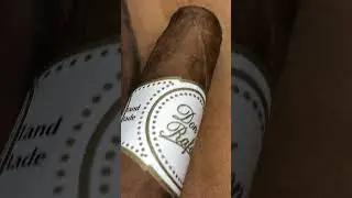 Don Rafael Vintage 2004 Toro Connecticut | Best Cigars | Tasty Cigars | Smooth Cigars #shorts